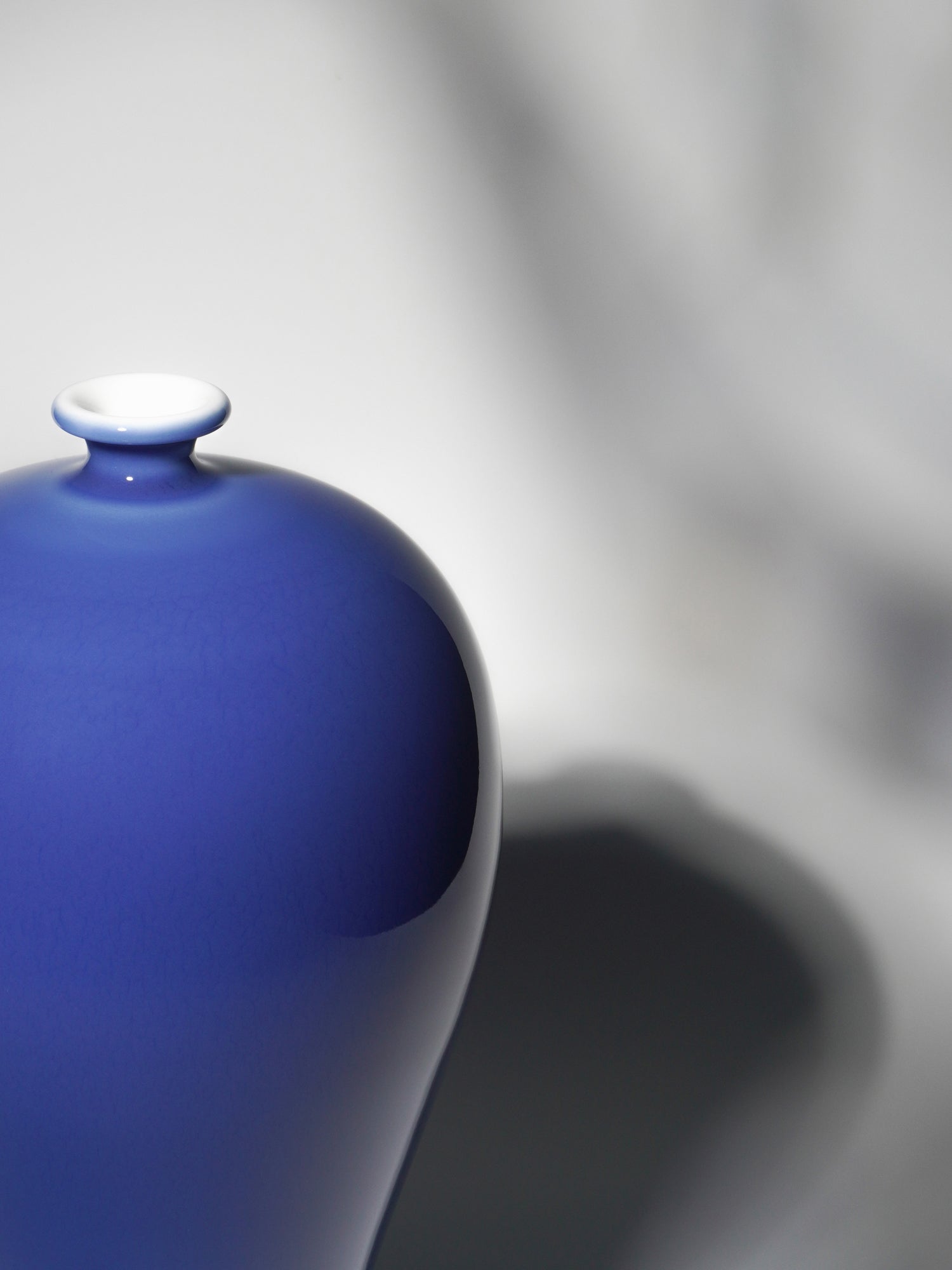 Jingde vase (blue glaze plum vase) - Morrow Land