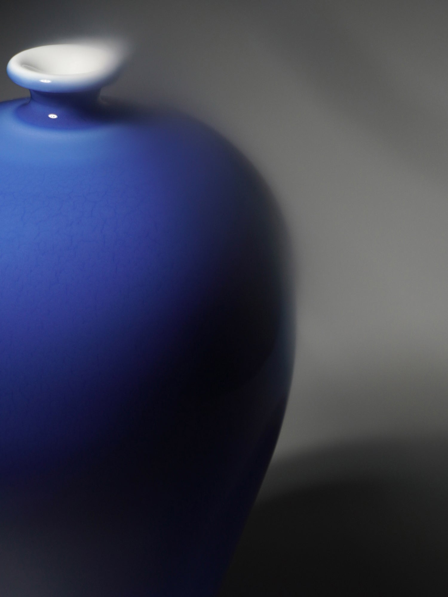 Jingde vase (blue glaze plum vase) - Morrow Land