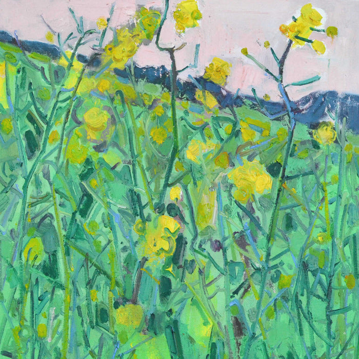 Canola Flowers Canvas oil Painting 60*50cm - Morrow Land